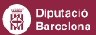 loog_diputacio.jpg